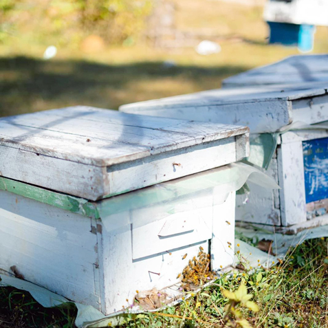 BeeKeepers